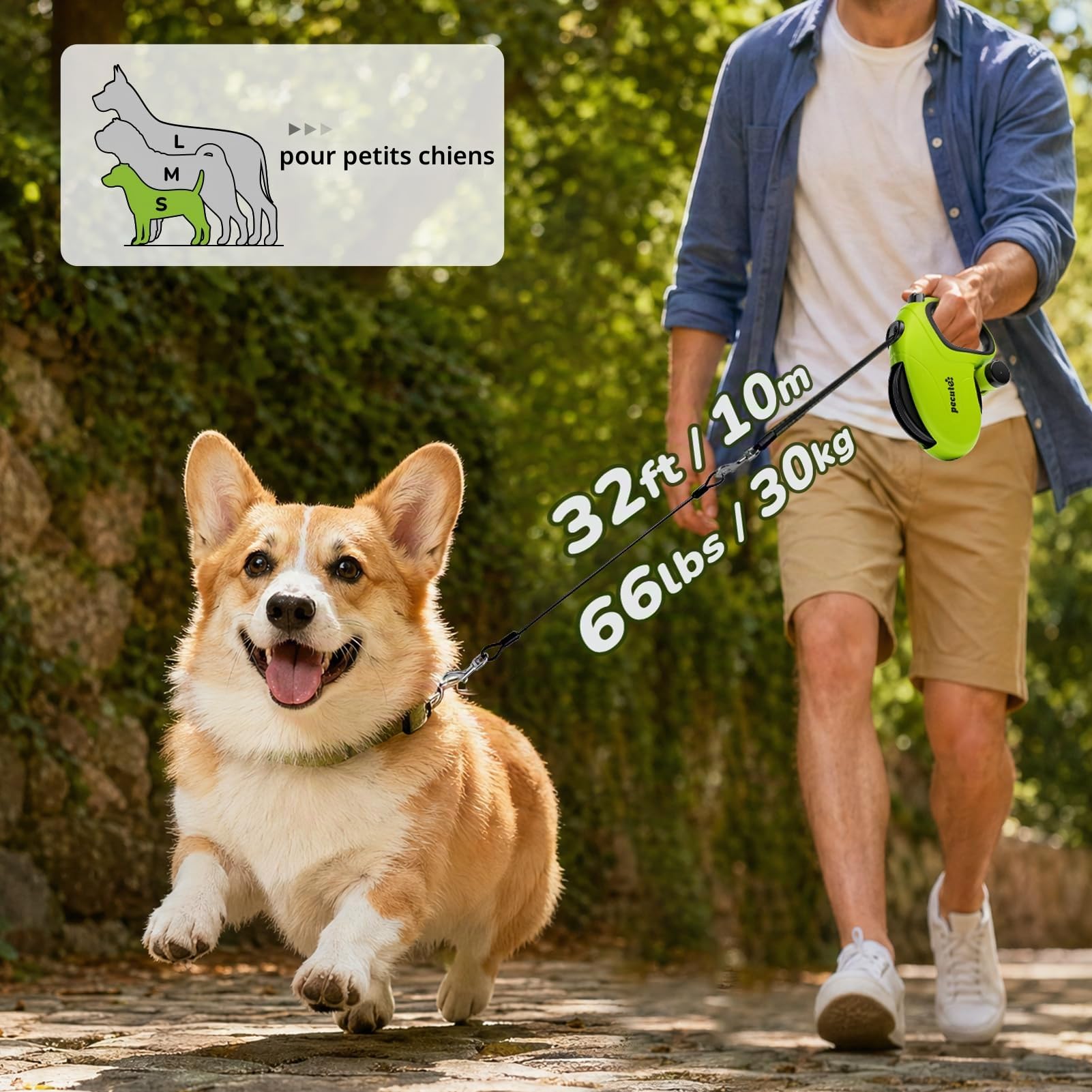 Pecute Laisse Chien Enrouleur 10m (Jusqu'à 30Kg), Laisse rétractable pour Chien à l'épreuve des mâchonnements, avec Un Bouton S'arrêter Bloquer, pour Petit, Moyen Chiens