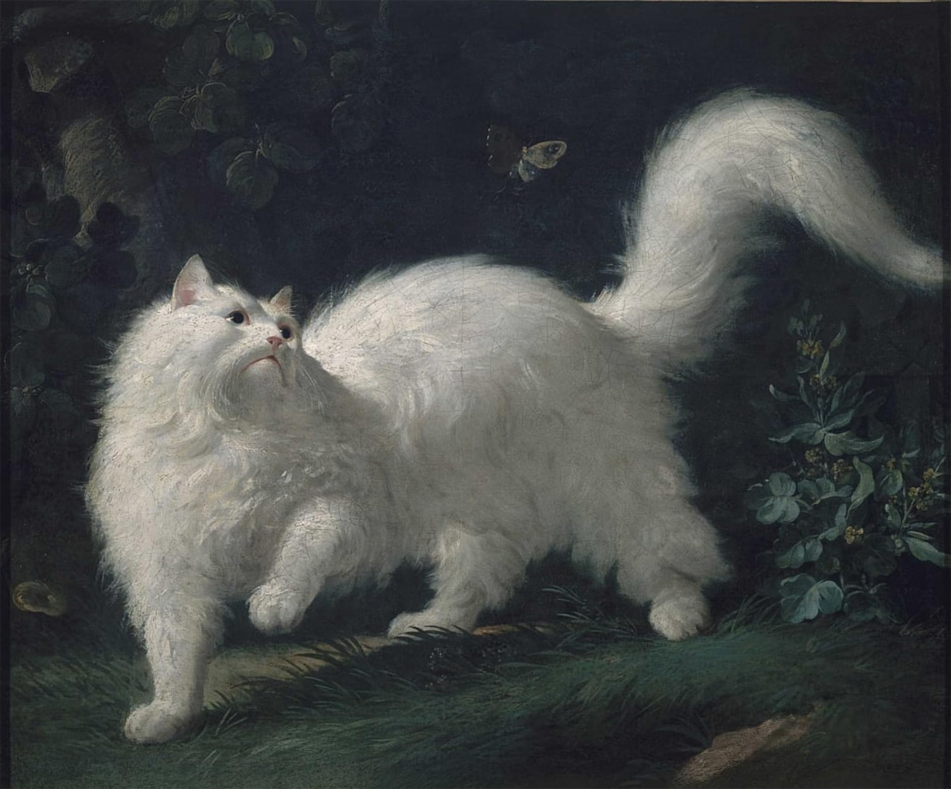 HRJUBWREE Vintage Poster Photo Wall Print Mural Artwork Angora Cat Chasing a Animal by Jean Jacques Bachelier Art Prints Painting for Home Decor 60x90cm