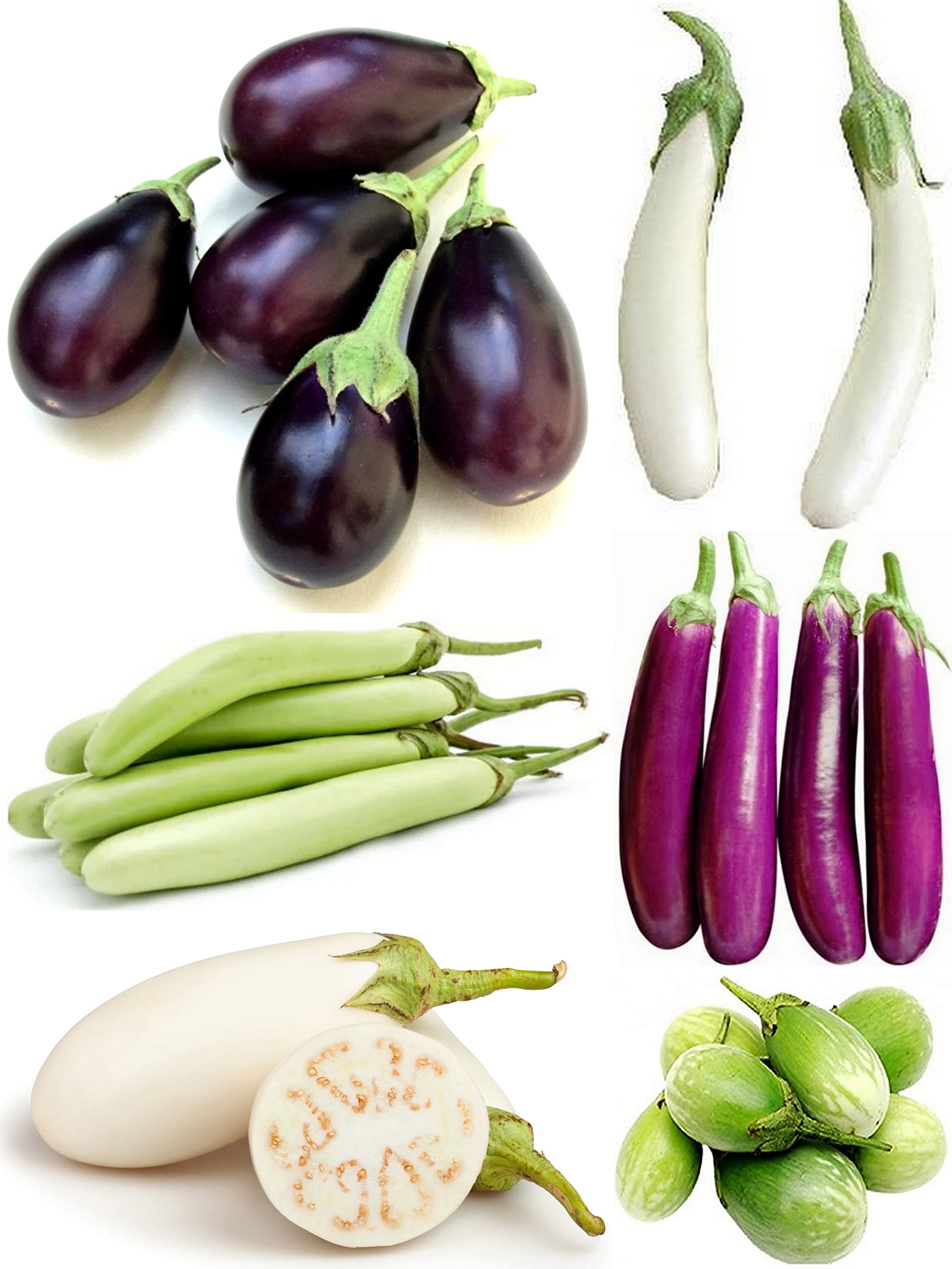 SimXotic Combo of Brinjal Seeds - Six Type of Brinjals Eggplant (30 Seeds Each; GMO-FREE SEEDS) (B0CJ9NBQY8) Amazon Price History, Amazon Price Tracker