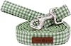 Lionet Paws Spring Daisy Dog Leash Matching Dogs Collar for Small Medium Dog