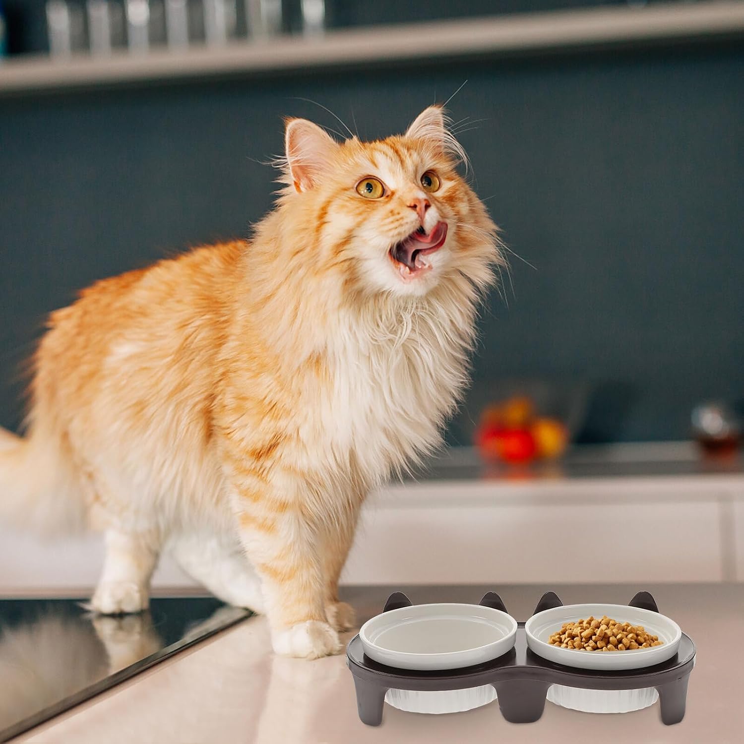 Elevated Cat Food Water Bowls Set with Tilted Ceramic Bowls and Stand Floor Feeding for Indoor Cats and Kittens image 5