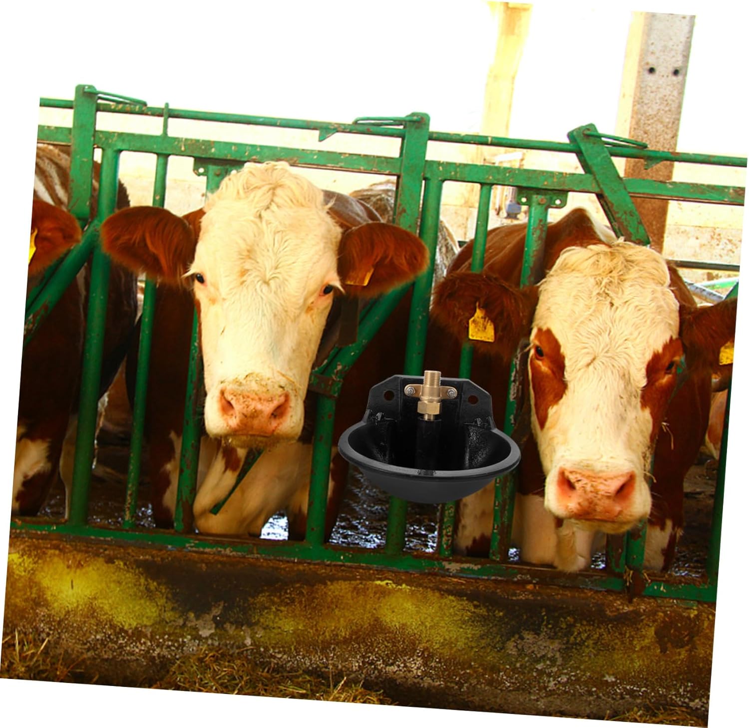 MERRYHAPY Livestock Automatic Water Dispenser Cast Cattle Drinking Bowl Durable and Easy to Use Water Feeder for Farm Animals Reliable Access for Cows and Sheep