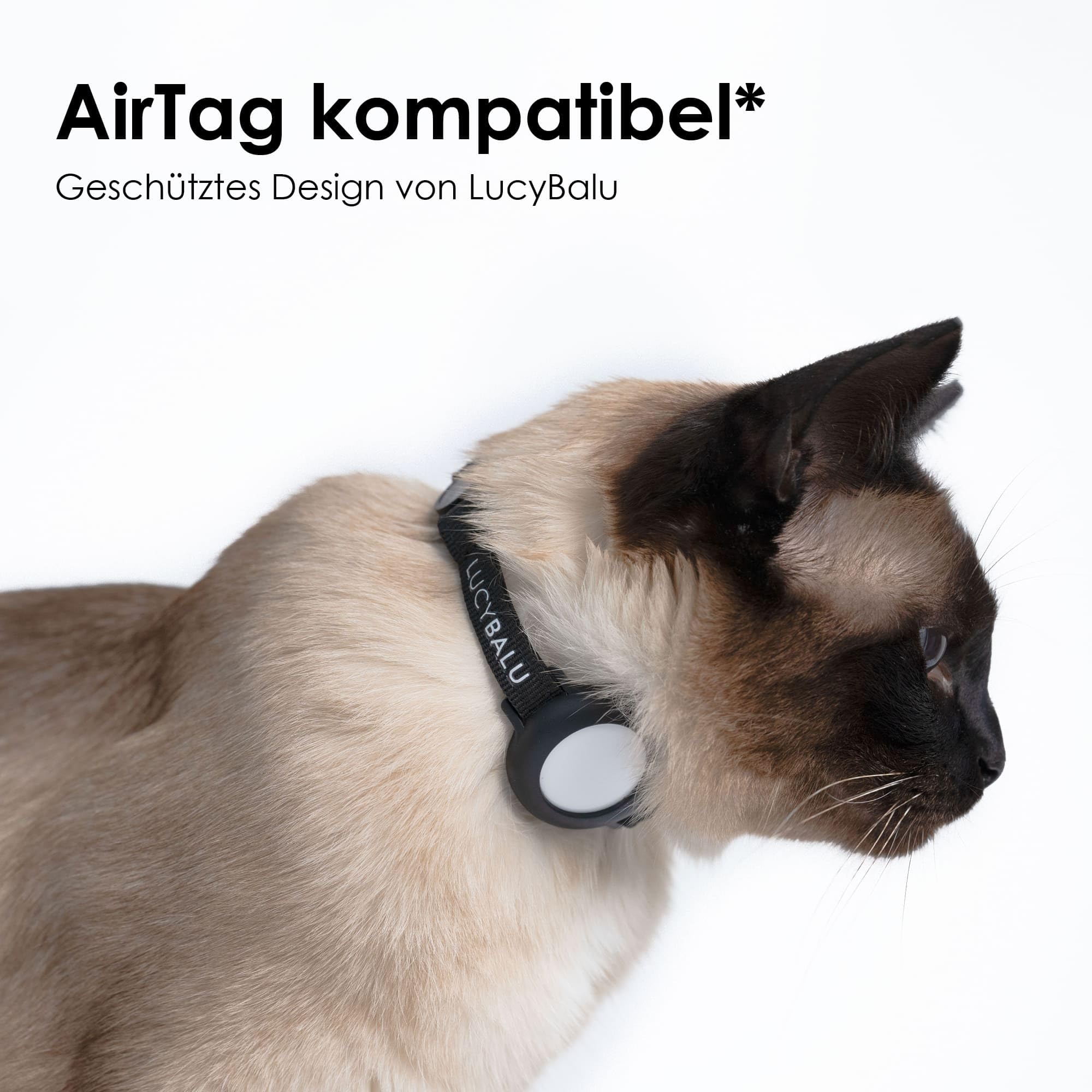 LucyBalu® Premium kattenhalsband met naamcapsule, scheurvaste halsband van nylon, kattenhalsband met veiligheidssluiting, capsule-hanger voor contactgegevens, in grootte verstelbaar, antraciet
