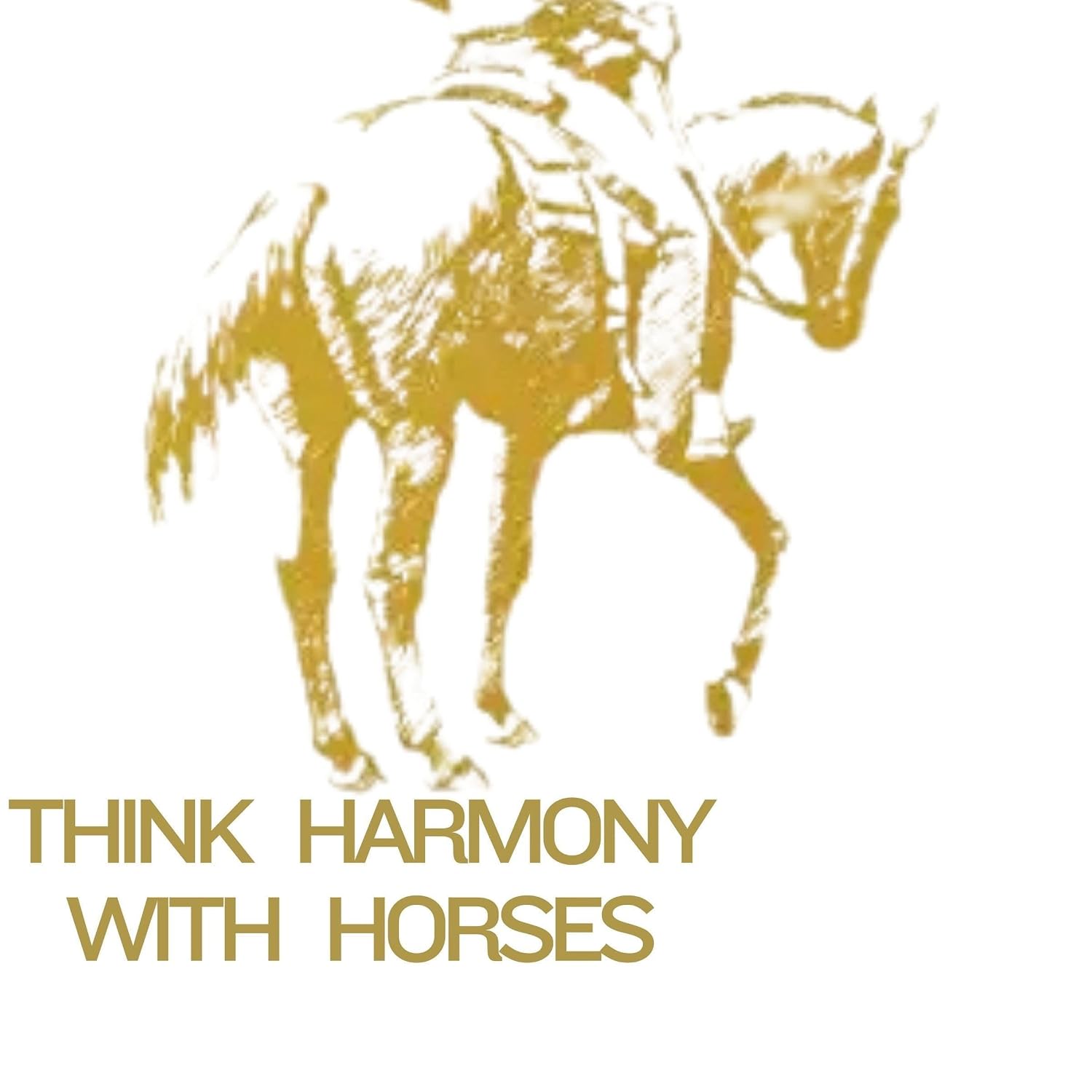Think Harmony with Horses: An In-Depth Study of Horse/Man Relationship
