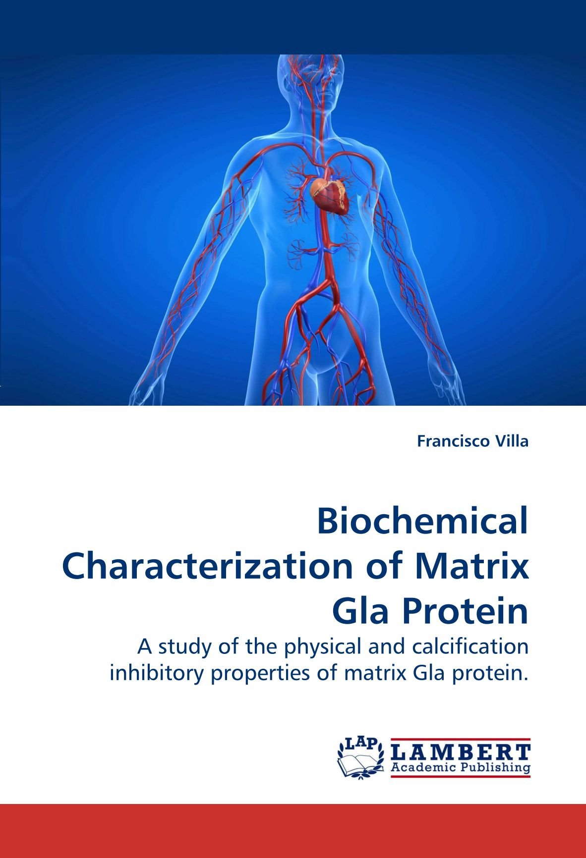 Biochemical Characterization of Matrix Gla Protein: A study of the physical and calcification inhibitory properties of matrix Gla protein.