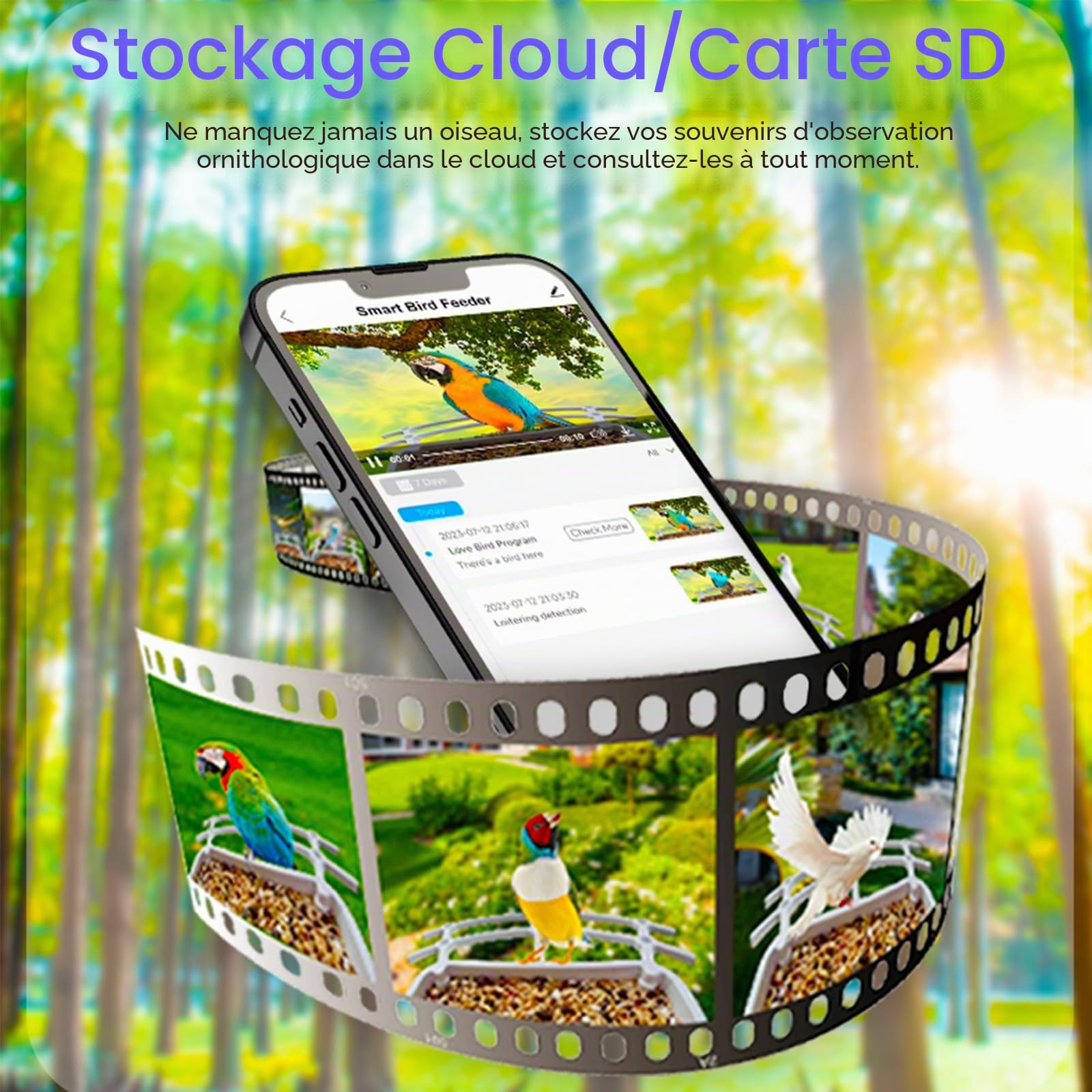 Nichoir avec Caméra, Maison d’Oiseaux avec Caméra, Mangeoire Vidéo WiFi | pour Oiseaux, Distributeur Intelligent avec Panneau Solaire & Reconnaissance IA des Oiseaux
