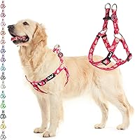 Vista 31 de PUPTECK Arnés para perro sin tirones, suave y ajustable, de nailon básico, chaleco para cachorros para caminar al aire libre con etiqueta