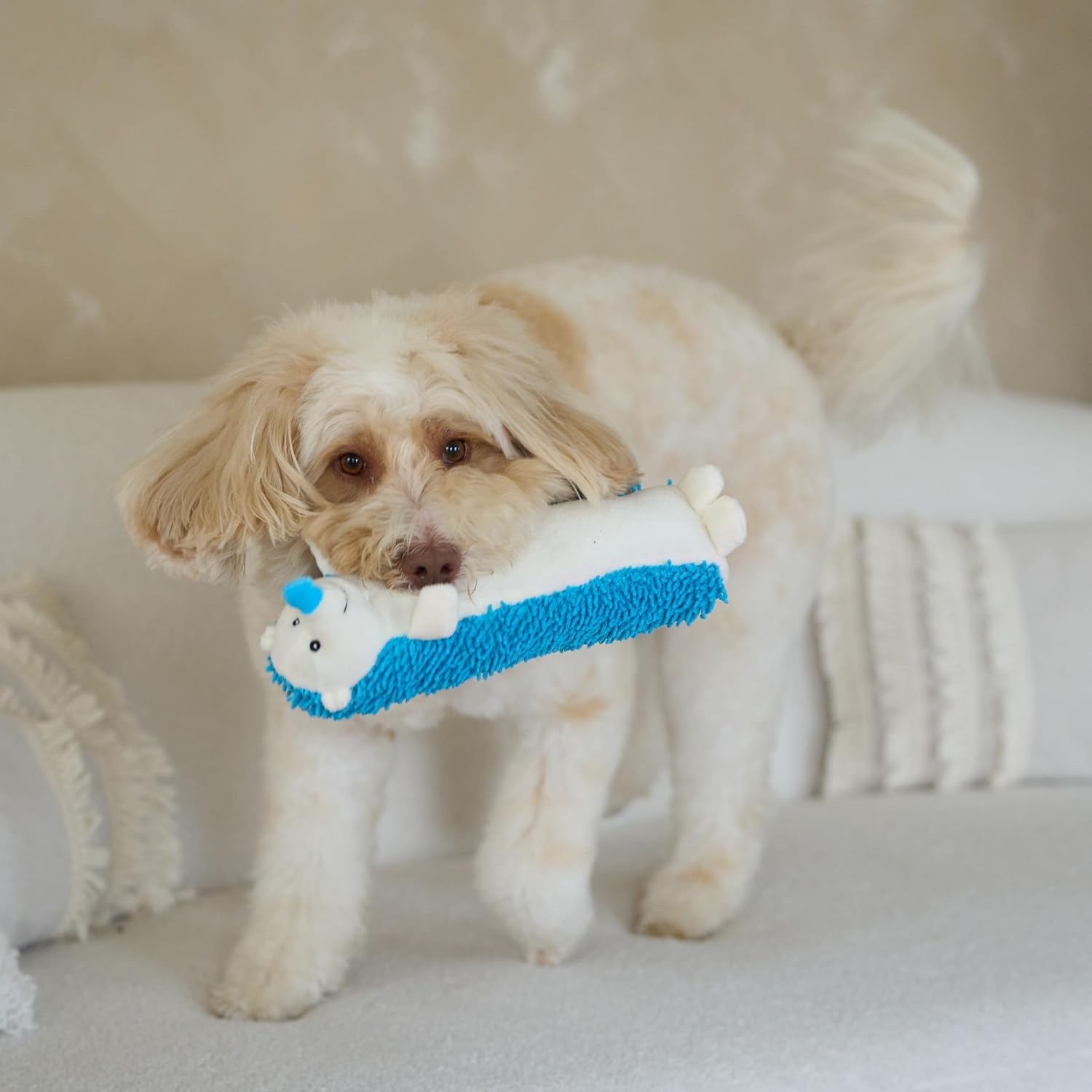 EthicalペットGigglers Hedgehog犬おもちゃ、12インチ(アソートカラー)