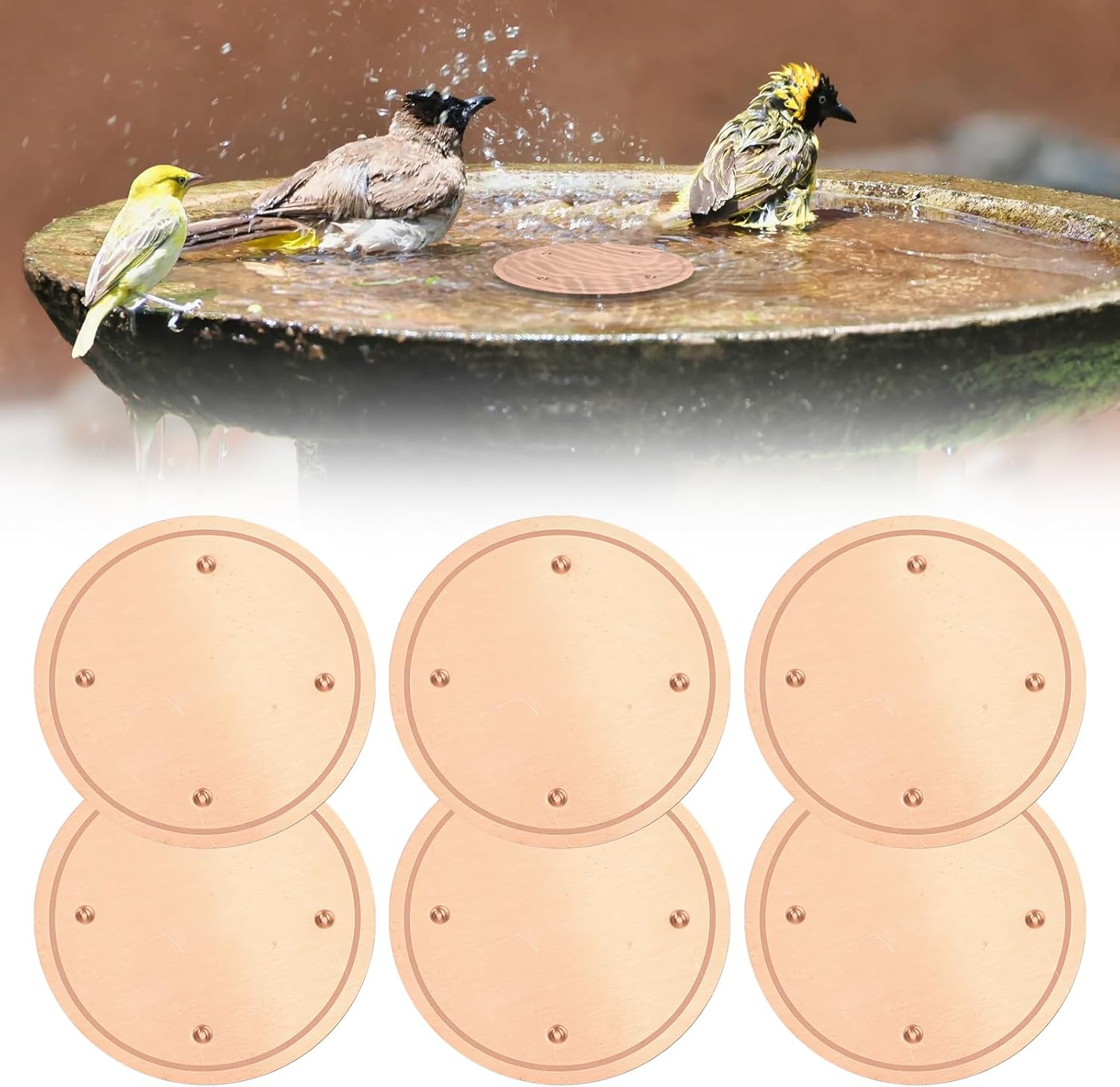 JOJOCY 6Pcs Pure Copper Bird Bath Disks, 99.99% Pure Copper Purification Inserts with Raised Points, 4” /10cm Diameter, 0.6mm Thick, Universal Fit for Indoor & Outdoor Birdbaths, Garden & Backyard Use