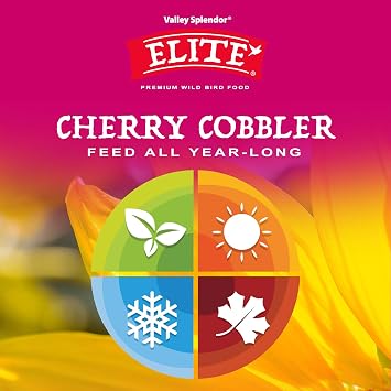 Cherry Cobbler