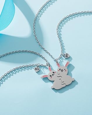Best Friend Pendants Jewelry BFF Necklace 2 Gifts Matching Friendship Necklaces for 2 Teen Boys Girls Bestie Sister.