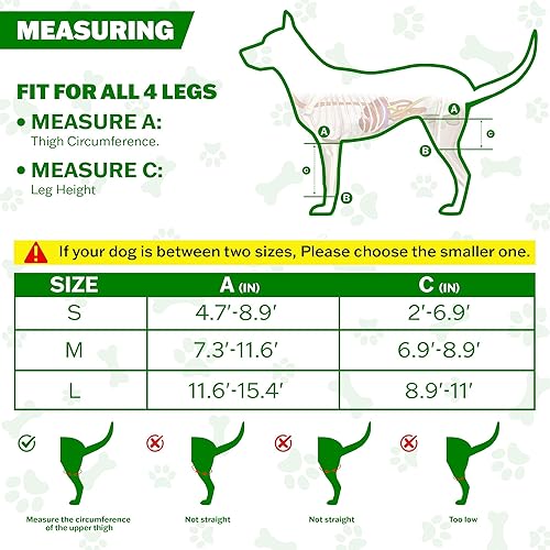 Miniatura 5 de Rodillera mediana para perro para desgarrarse en la pierna trasera, soporte ajustable para la pierna trasera del perro, soportes para piernas de