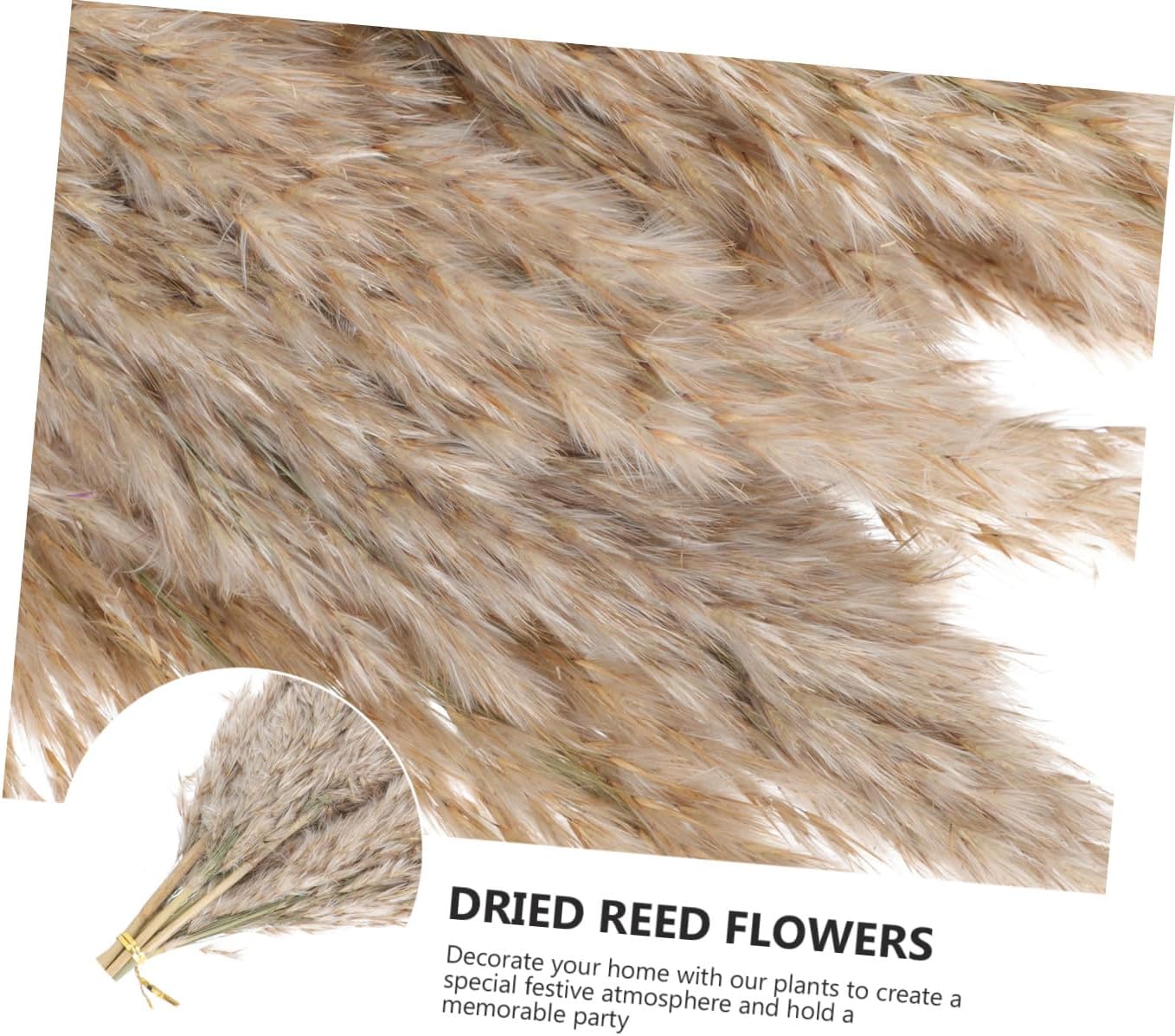 Cabilock 2sets Dried Nordic Flower Bouquet Natural Preserved Floral Decor for Weddings Home Decoration and Photography Props Charming Rustic Style for Farmhouse Aesthetic