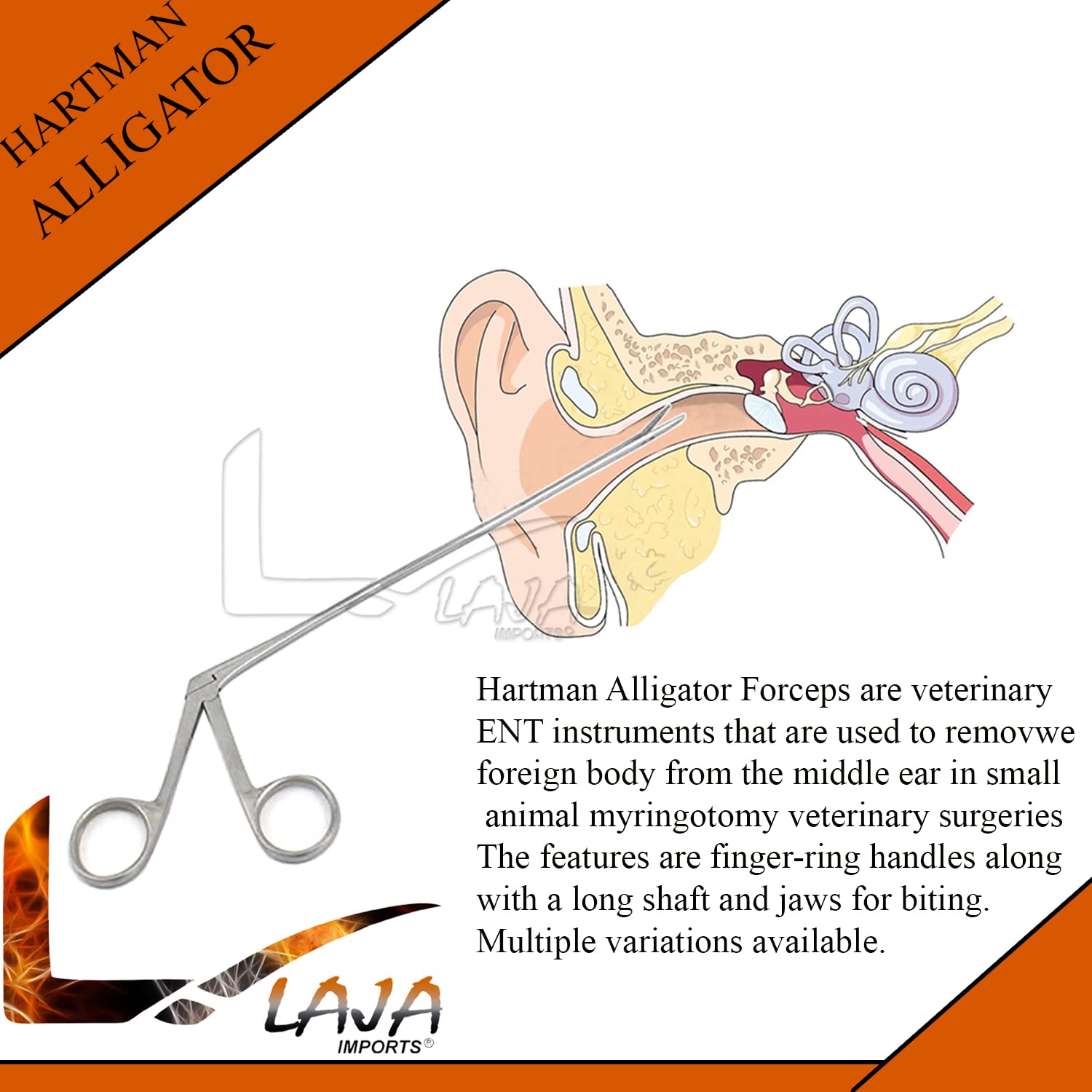 Hartman Alligator Forceps - Stainless Steel -5