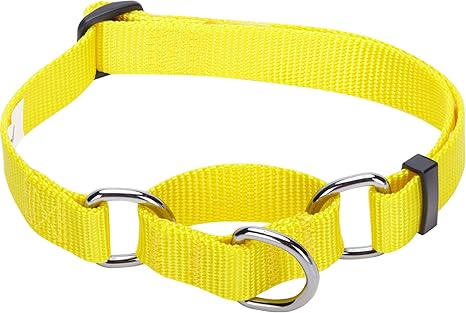 martingale collar amazon
