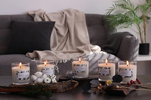 Vista 12 de Aronica Blueberry Summer Candles for Home, Pet Safe Candles Non Toxic, House Decor Aesthetic, Regalos De Verano para UNA Casa, Labor Day Small Gift