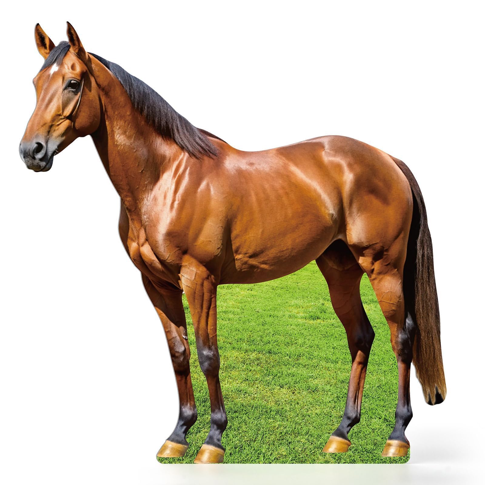 Photo 1 of APUDWN 4FT Horse Cardboard Cutout Life-Size Animal Cutout Realistic Farm Animal Photo Booth Prop Decor for Parties, Zoo-Themed Events, Classrooms, Birthday Decoration Supplies 45.63 x 47.24 Inches