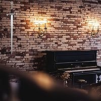 Vista 6 de WANLIAN Soporte para espada montado en la pared, tarjeta de pared de espada, espada de acrílico, pantalla de pared, tarjeta, escudo de espada