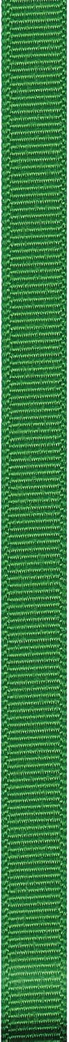 Offray, Emerald Grosgrain Craft Ribbon, 3/8-Inch, 3/8 Inch x 18 Feet (Pack of 2) image 2