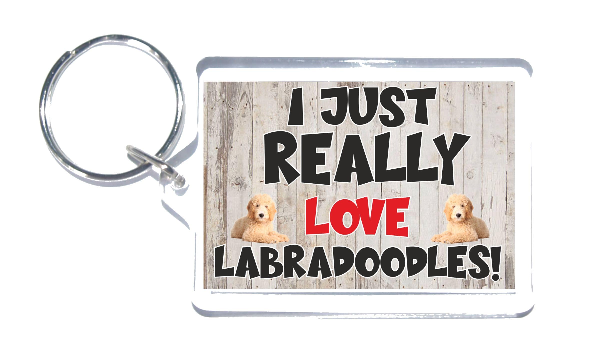 Nice Dog Gift – I Just Really Love Labradoodles – Novelty Keyring
