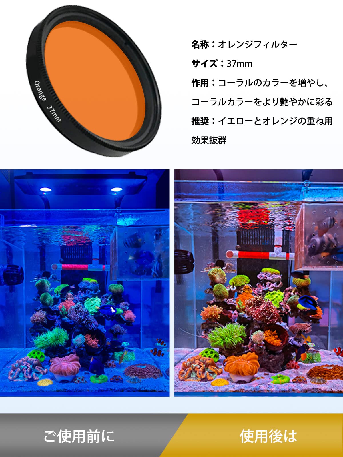 Amazon.co.jp: 水槽 サンゴ観察 サンゴレンズ 虫眼鏡 フィルター