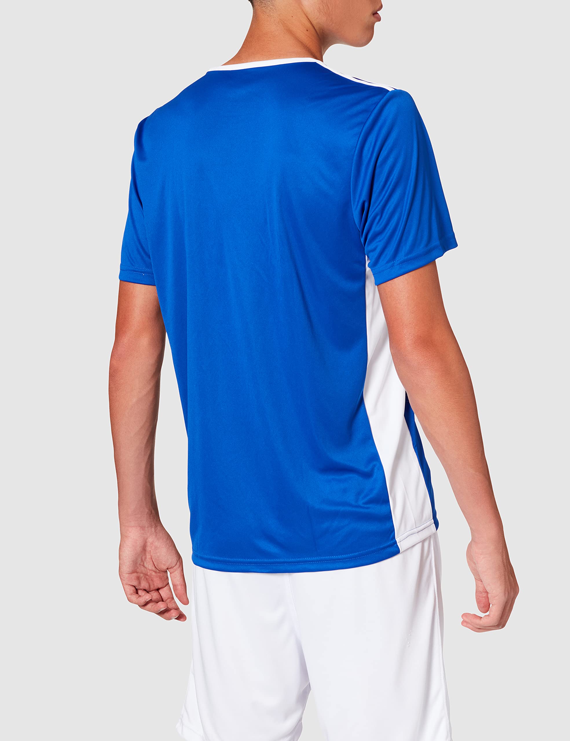 adidas Entrada 18 JSY T-Shirt, Homme