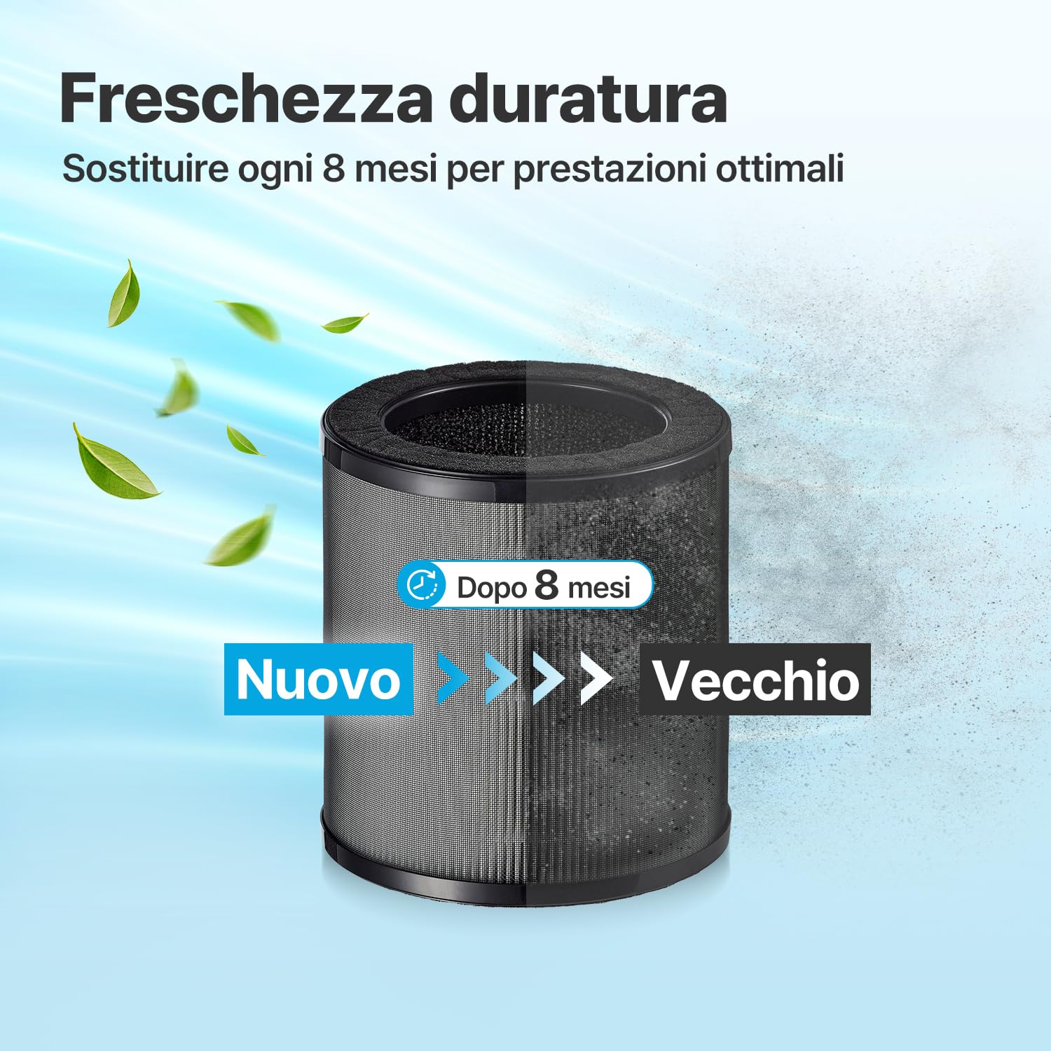 Airmega 50 Filter