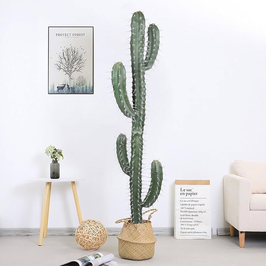 Nala ナラ Cactus all in one Nala ナラ Cactus all in one Nearly