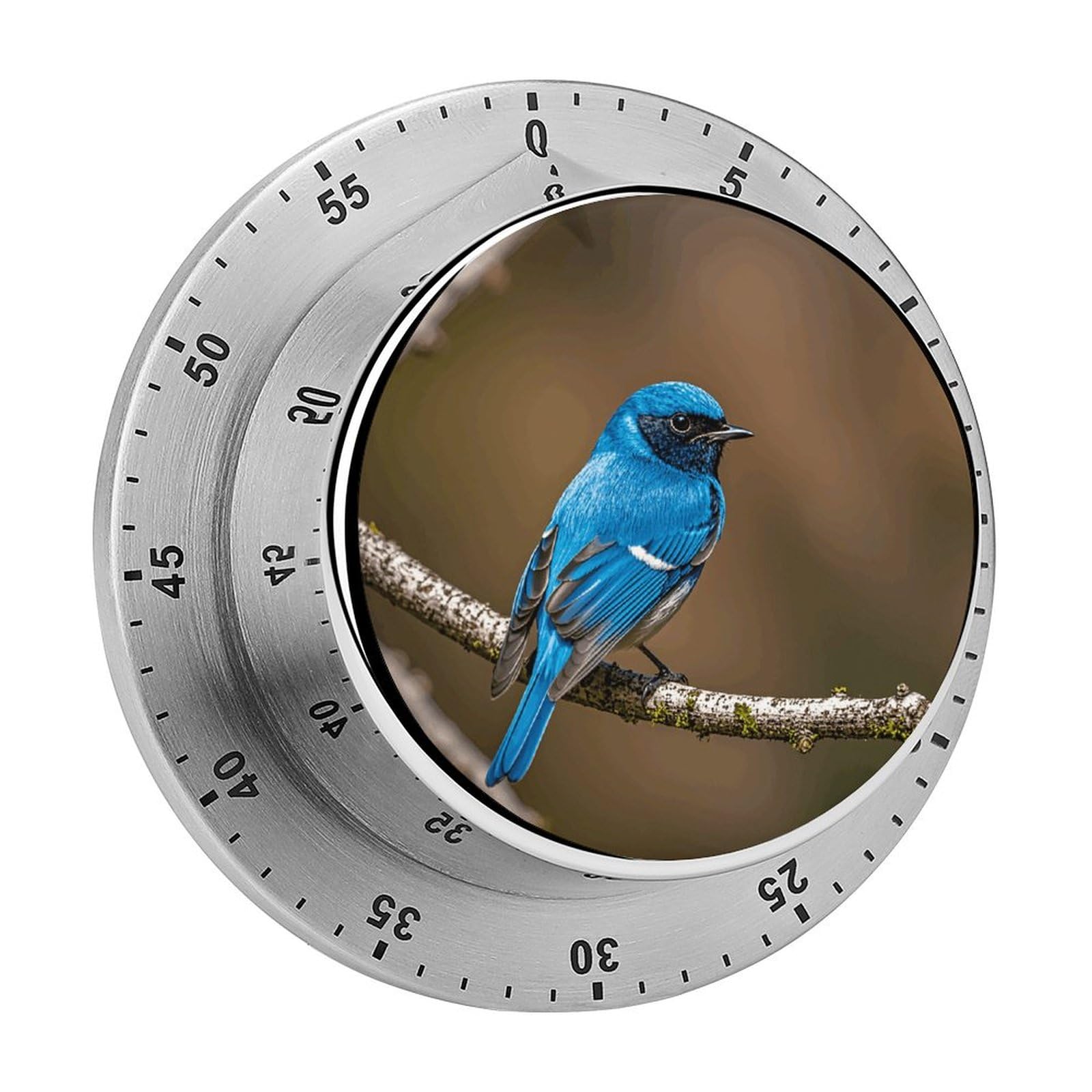 Blue Bird Manual Countdown Timer with Magnetic Base Visual Mechanical Timer for Classroom Home Study and Cooking