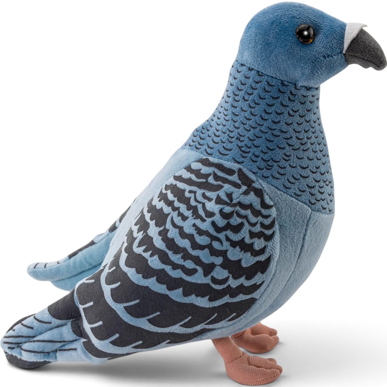 Amazon.co.jp: Carl Dick 鳩、ピジョンブルー8インチ、24 cm