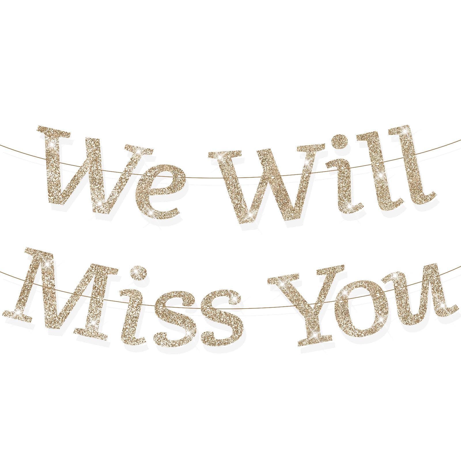 We Will Miss You Banner Glitter No DIY 11.5 ft Graduation Retirement Party Decorations Goodbye Decorations Going Away Party Decorations for Going Away