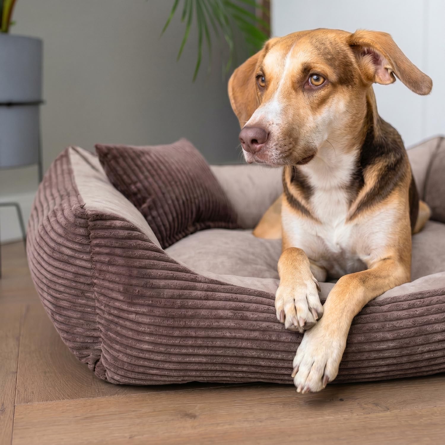 4L Textil Otto Acogedora Cama para Perro Funda Desenfundable y Lavable Cesta para Perro Cojín para Perro Mediano Esponjosa Cesta para Perro Sofá para Perro (100x80 cm, Stripes 06)