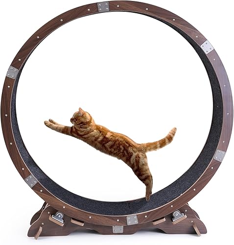 LOCDION Ejercitador de ruedas para gatos de interior, rueda de ejercicio para gatos con diseño preensamblado mejorado, cinta de correr grande para disponible en Yaxa Peru