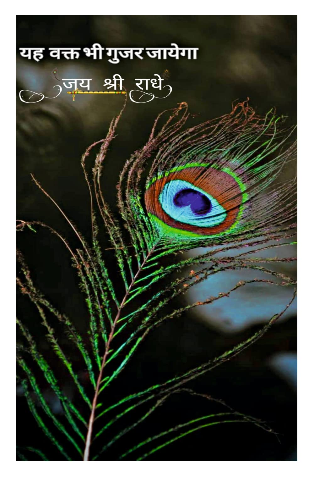 Akki World Beautiful Peacock Eye Feather Poster for Kids Room, Pooja Room, Living Room, Office (Multicolor, Size- 30Cm X 45Cm)
