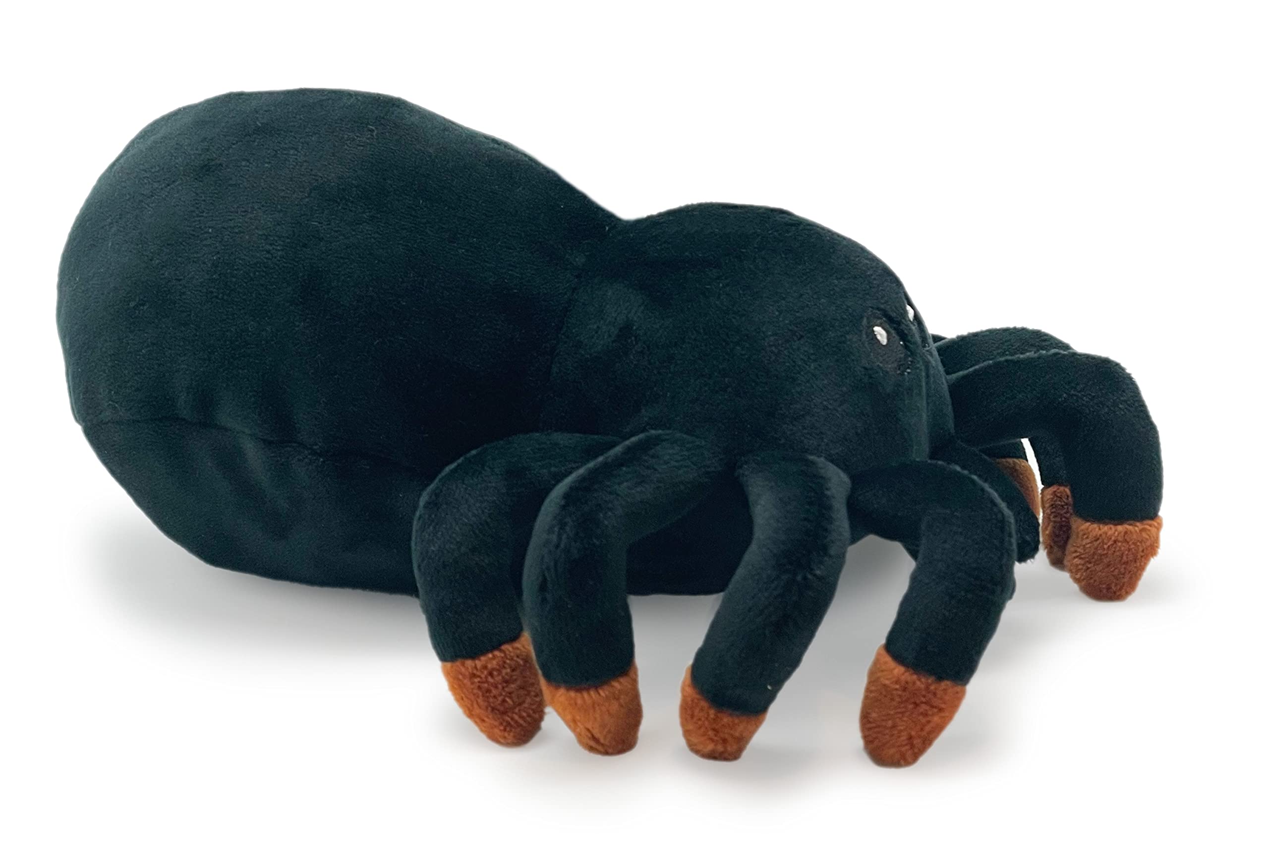 Amazon.co.jp: Hatchkinz | リバーシブルタランチュラから卵の