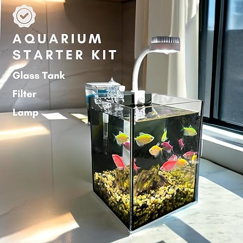 Miniatura 2 de Kit de iniciación para pecera, tanque de vidrio para acuario de 1.2 galones, LWH  6.3 x 6.3 x 8.6 pulgadas, filtro Slient de 60 GPH y lámpara LED de