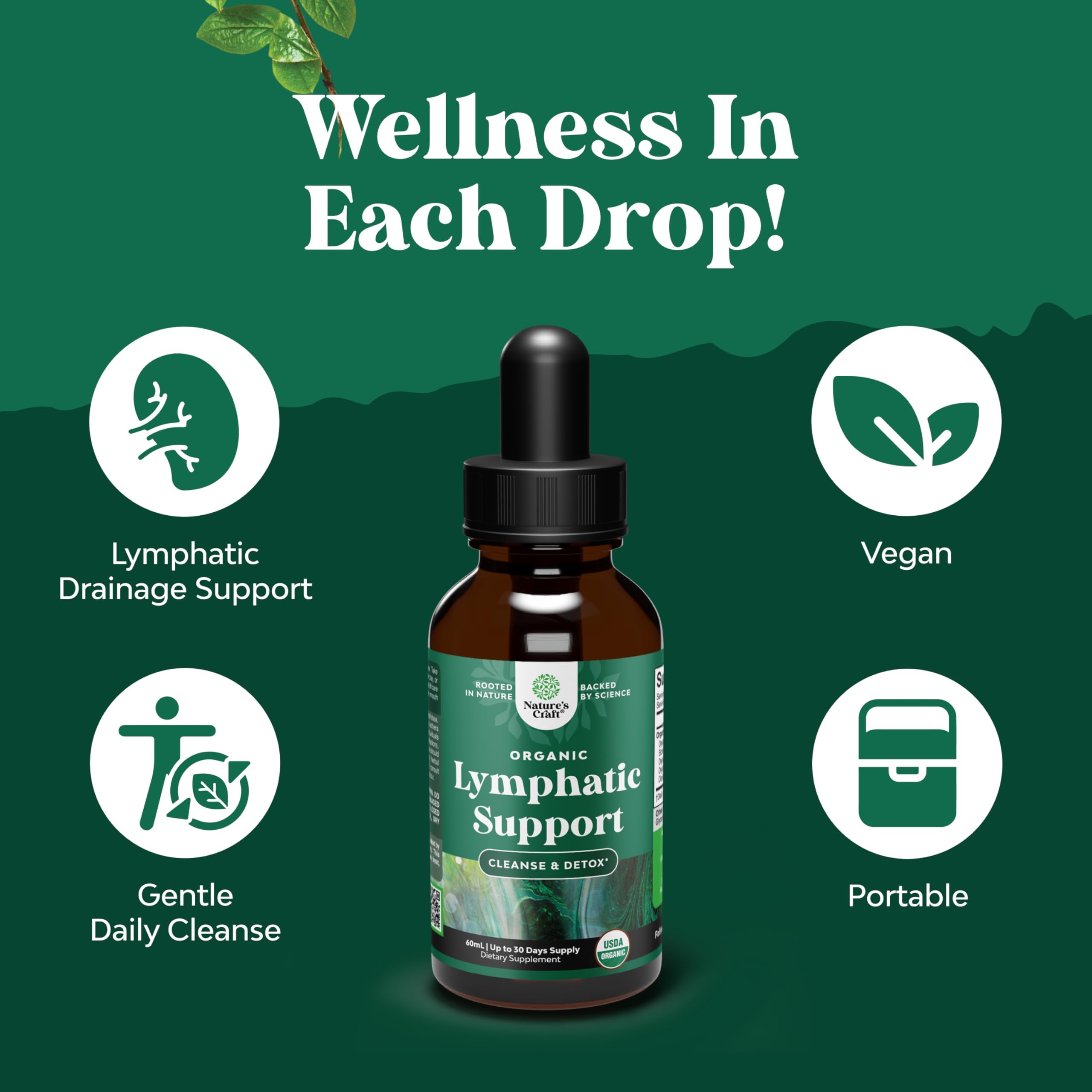 Organic Lymphatic Drainage Drops - Organic Cleavers & Echinacea - 2 Fl Oz — Amazon image 4