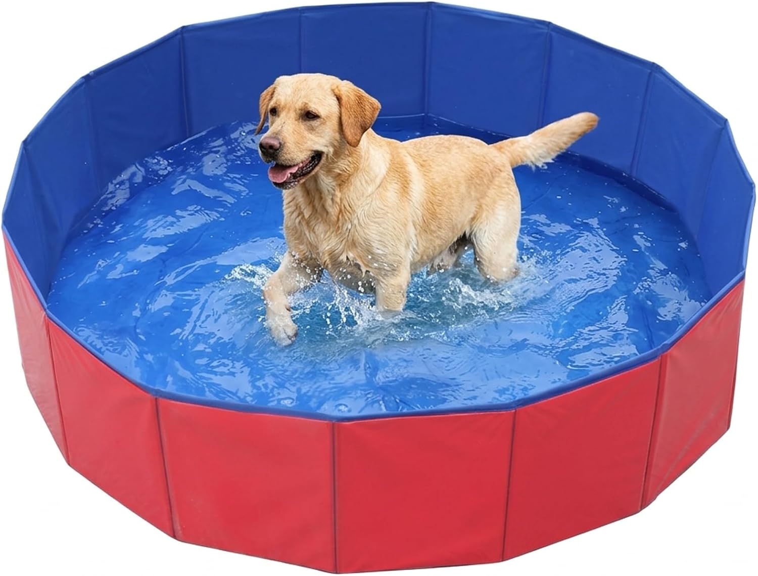 Dog Pool, Dog Paddling Pool, Foldable Dog Swimming Pool for Small Dogs, Portable Plastic Pool for Outdoor Play and Indoor Bathing, Compact Design for Limited Spaces50 x 8 cm