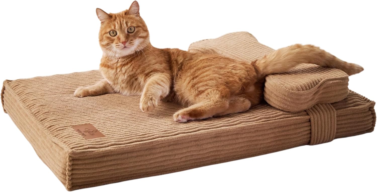 Cama Ortopédica para Gatos con Funda Impermeable (Medium)