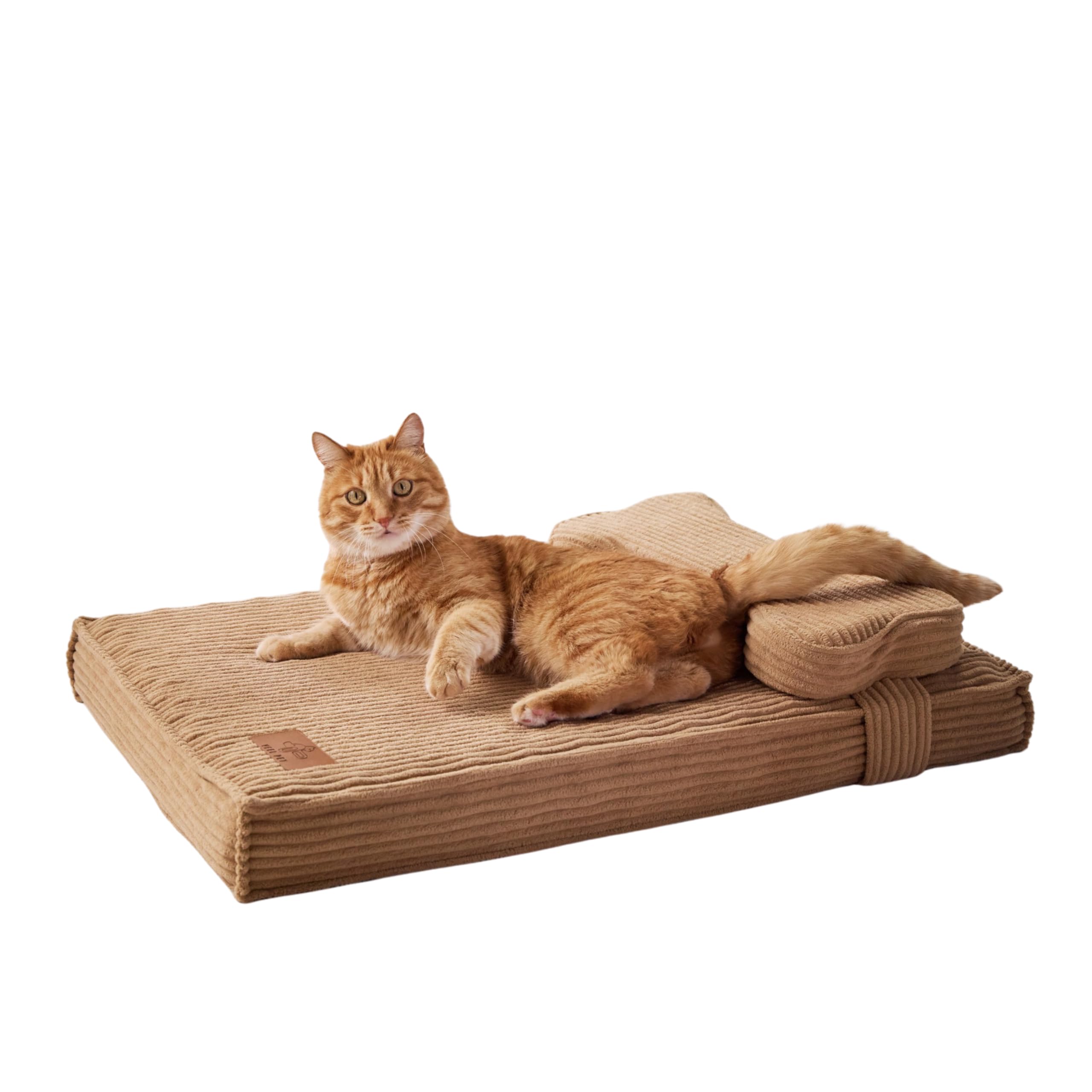 Cuccia Gatto Ortopedica con Cuscino Sfoderabile e Lavabile – Materasso Alta Densità Impermeabile, Base Antiscivolo, Letto Comfort per Gatti Adulti e Anziani, Design Premium (SMALL)