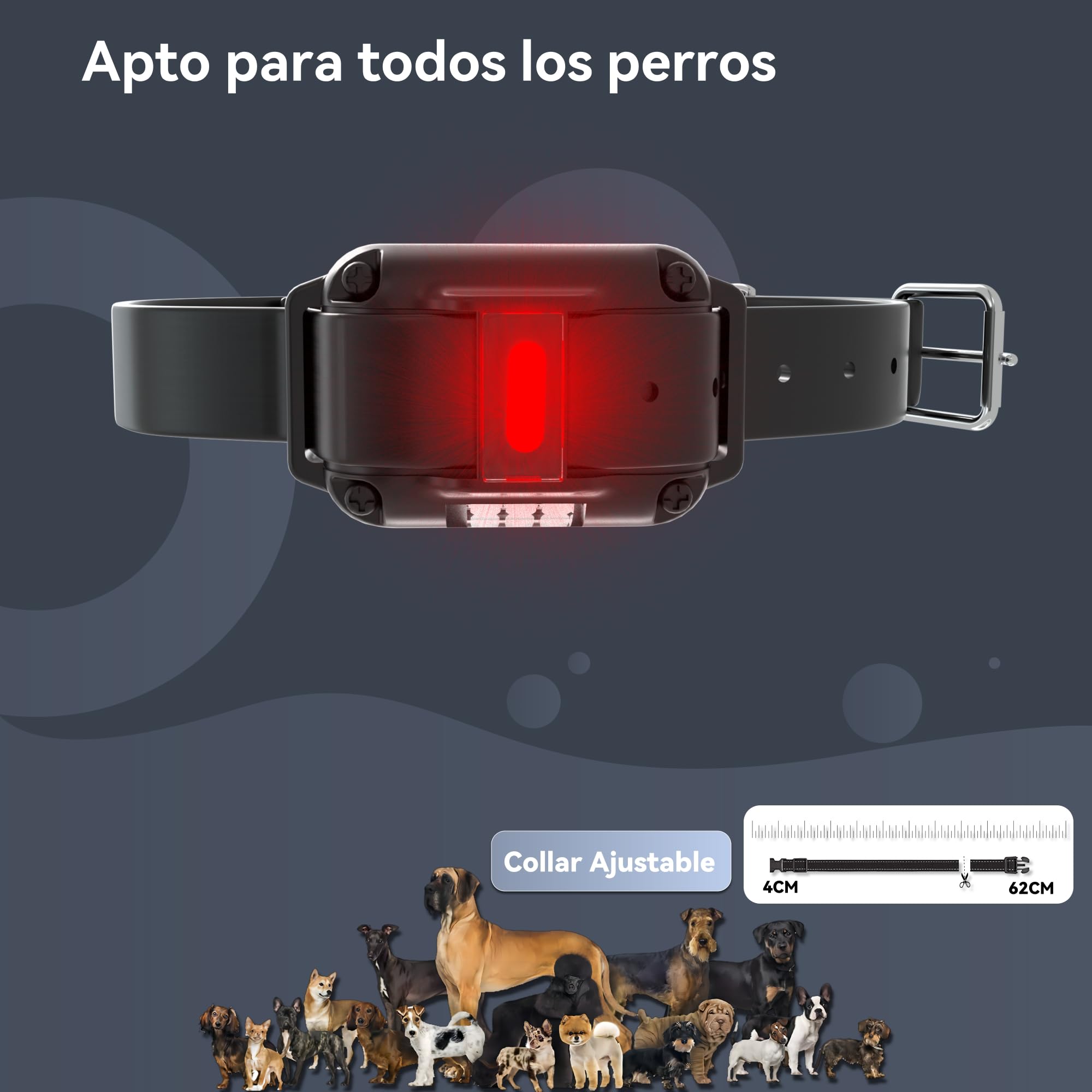 Meloive Collar para Perros,Collar Nylon Reflectante Impermeable,Duradero y Cómodo para Perros Pequeños,Medianos y Grandes,Amarillo