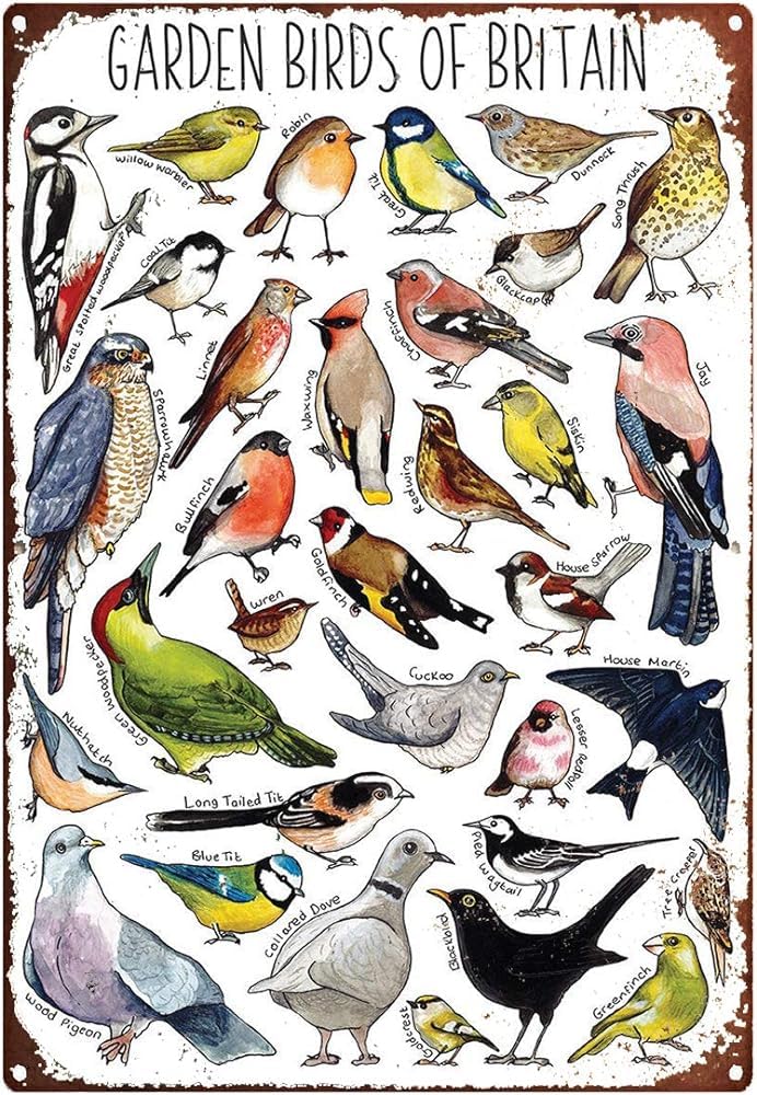 Metal Tin Signs Vintage Garden Birds of Britain Watercolour Wildlife Print Metal Sign Anime