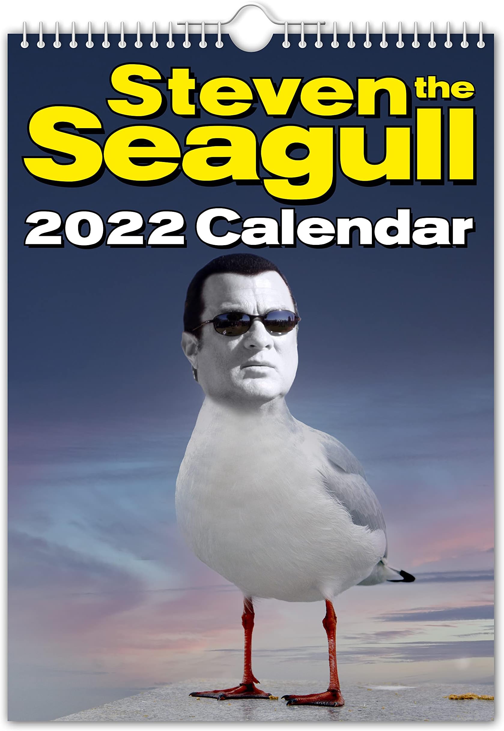 Steven the Seagull - 2022 Wall Calendar // Funny / Quirky / Christmas / Birthday / Gift Idea / Present / Novelty / Humour / Secret Santa / Year Planner / Office Gift