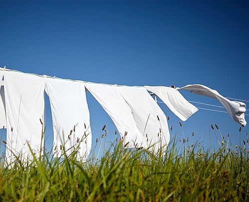 Miniatura 3 de Fresh & Clean Colección de velas Lone Star de primera calidad y cera de soja vertida a mano de More's More, cubos de cera fuertemente perfumados,