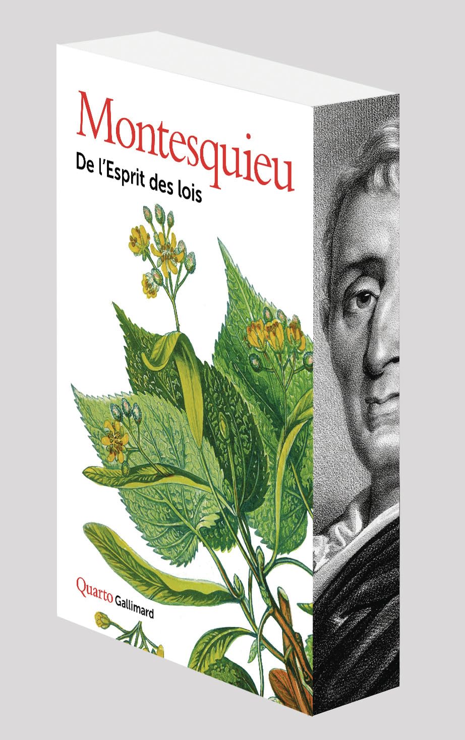 De l'Esprit des lois: sous étui