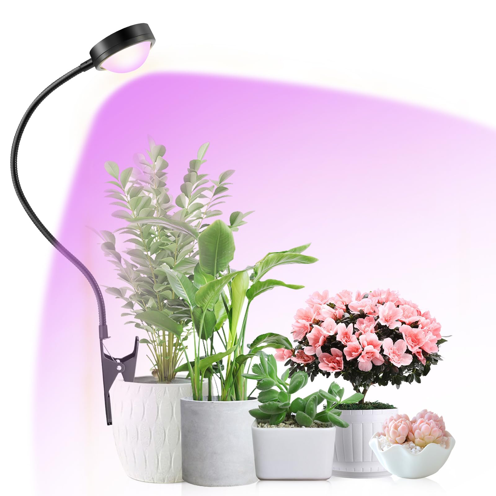 fayleer Pflanzenlampe LED Vollspektrum mit Optischer Linse und Timer