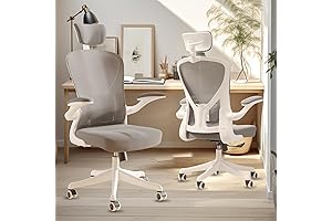 Sichy Age Ergonomic Office Chair: A Comprehensive Review of Comfort and Support