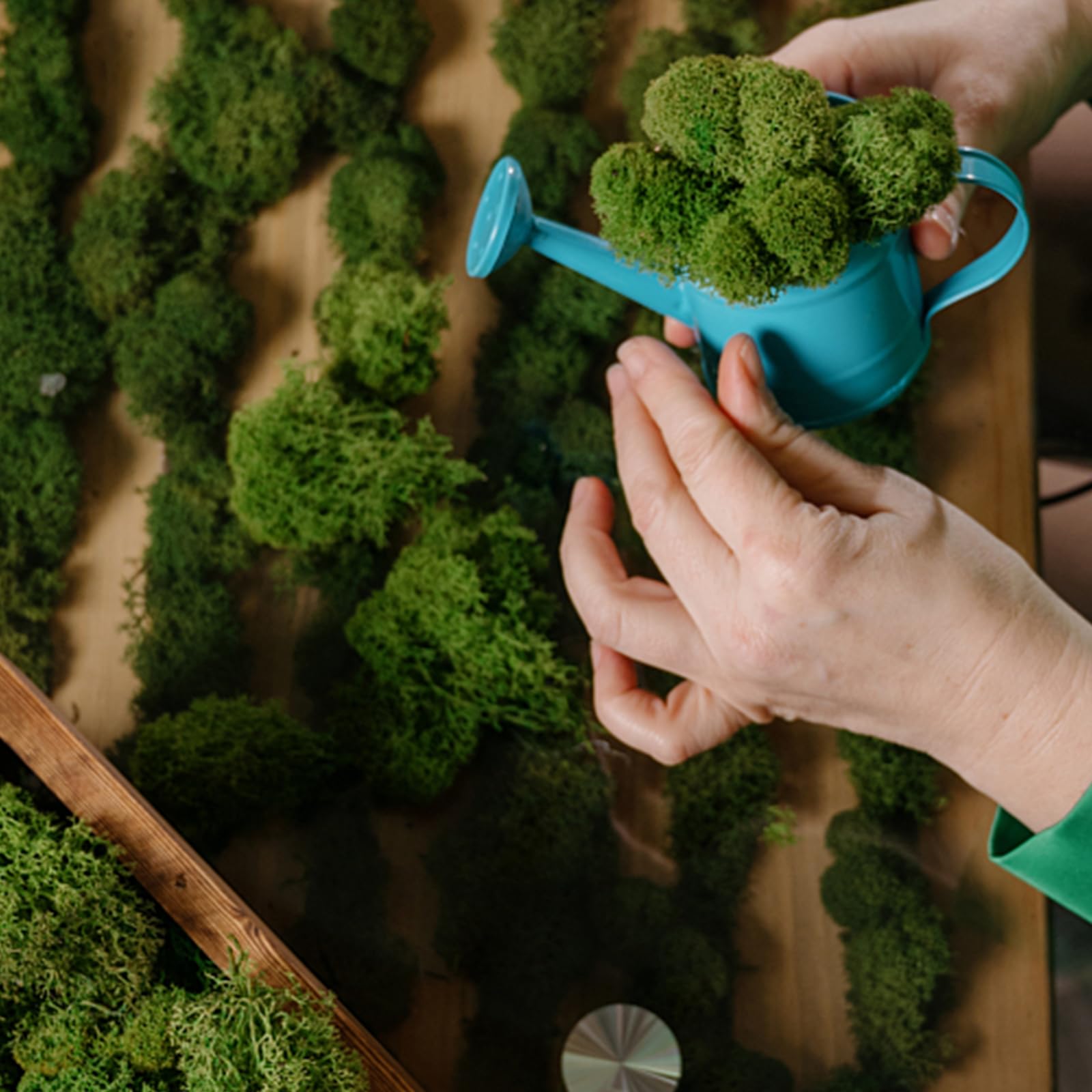 Muschio Stabilizzato Islandese 200g - 5 Colori Misti Per Decorazioni Fai Da Te - Foto 7