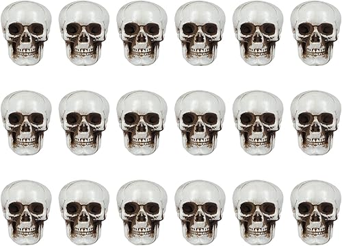 NUOBESTY 18 piezas de mini cráneo modelo de calavera de plástico, decoraciones de esqueleto, decoración de hueso, accesorios de broma, cabezas de