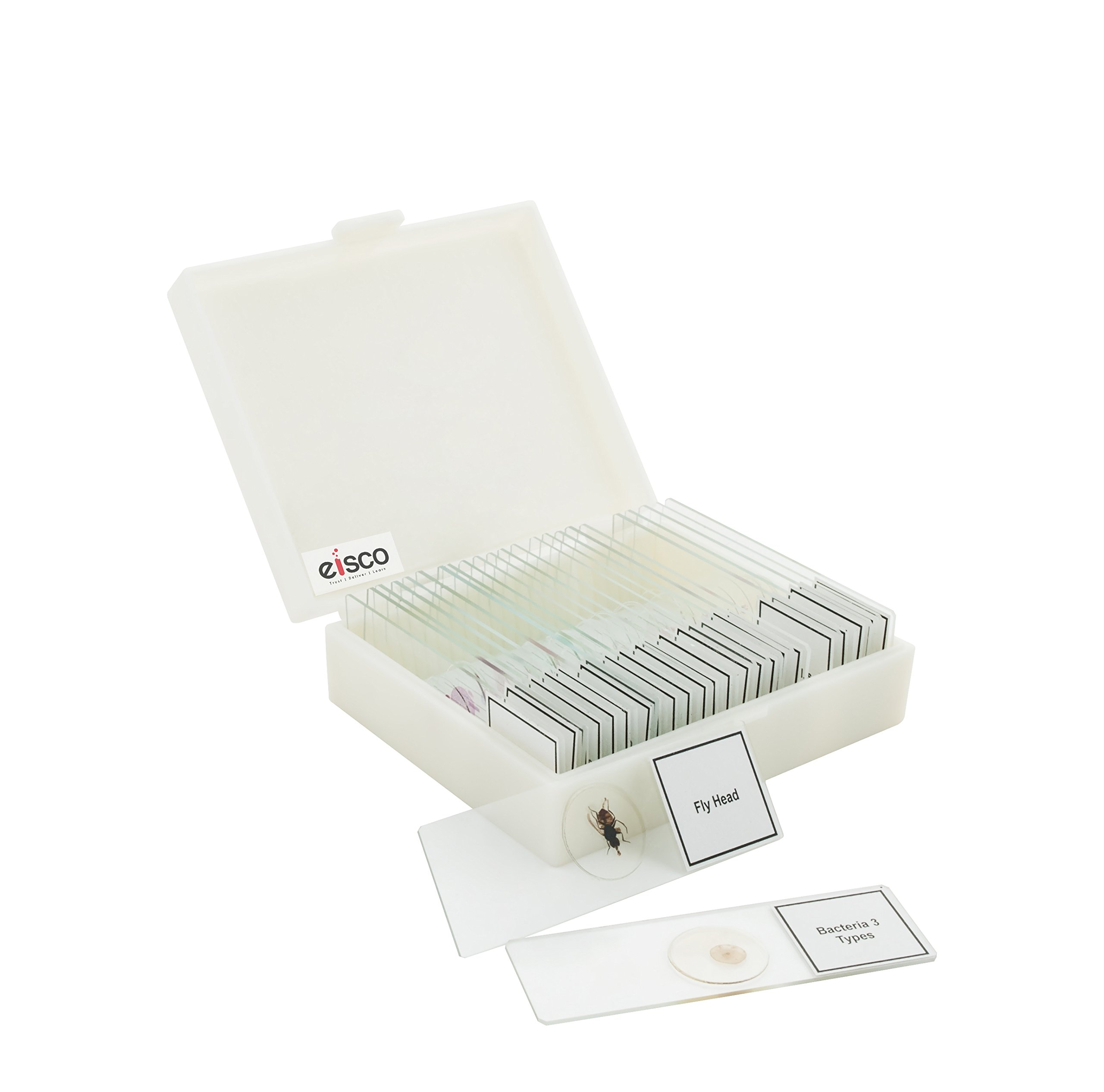 Labzio - Premium Microscope Prepared Slides to Observe Various Specimen, Set of 25 Slides, Comes in A Plastic Case (B079W4YC1Y) Amazon Price History, Amazon Price Tracker